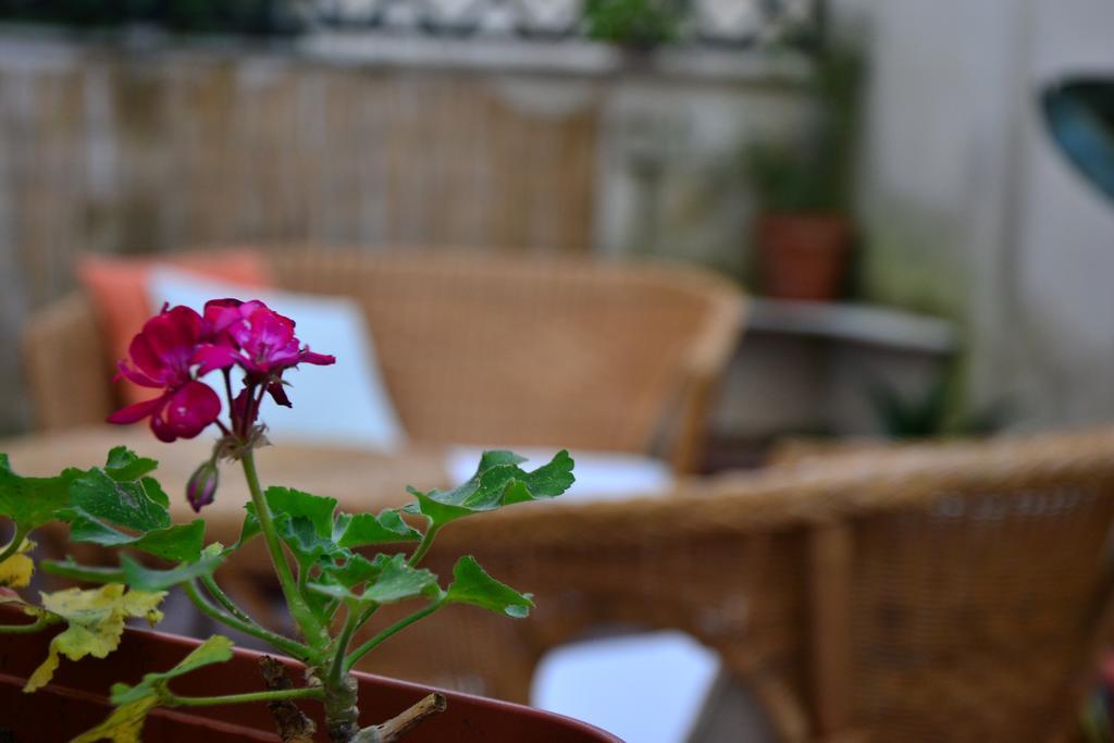 Il Lapino Hotel ปาแลร์โม ภายนอก รูปภาพ