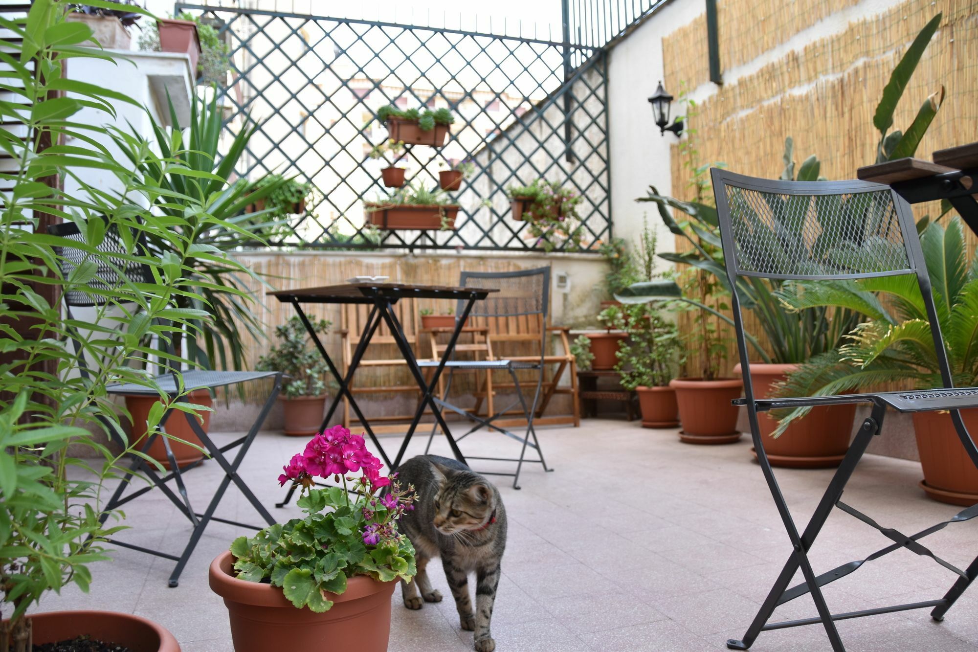 Il Lapino Hotel ปาแลร์โม ภายนอก รูปภาพ